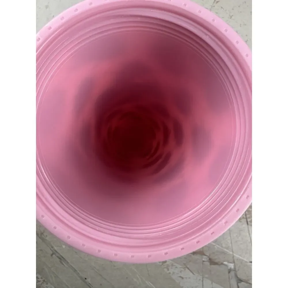 Starbucks Venti Cold Tumbler Cup Pink Beetle Bug 24 oz Insects Roach